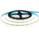 Світлодіодна LED стрічка SLIM AVT-600WW3528-12 (4000K-4500K) 9,6 W/м, 120LED/м, 5м